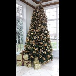 2015 Cornerstone Celebrity Luncheon Photo #2