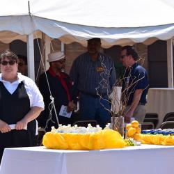 Des Plaines Gardens Demolition Ceremony Photo #40