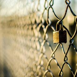 Des Plaines Gardens Past Photo #1