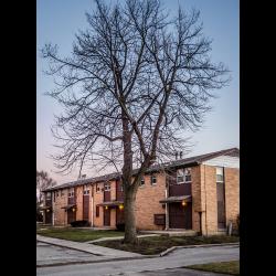 Des Plaines Gardens Past Photo #13