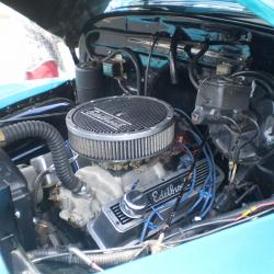 Classic Car Cookout Photo #7