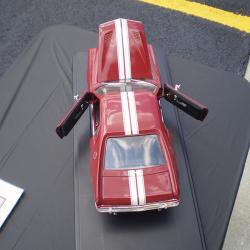 Classic Car Cookout Photo #23